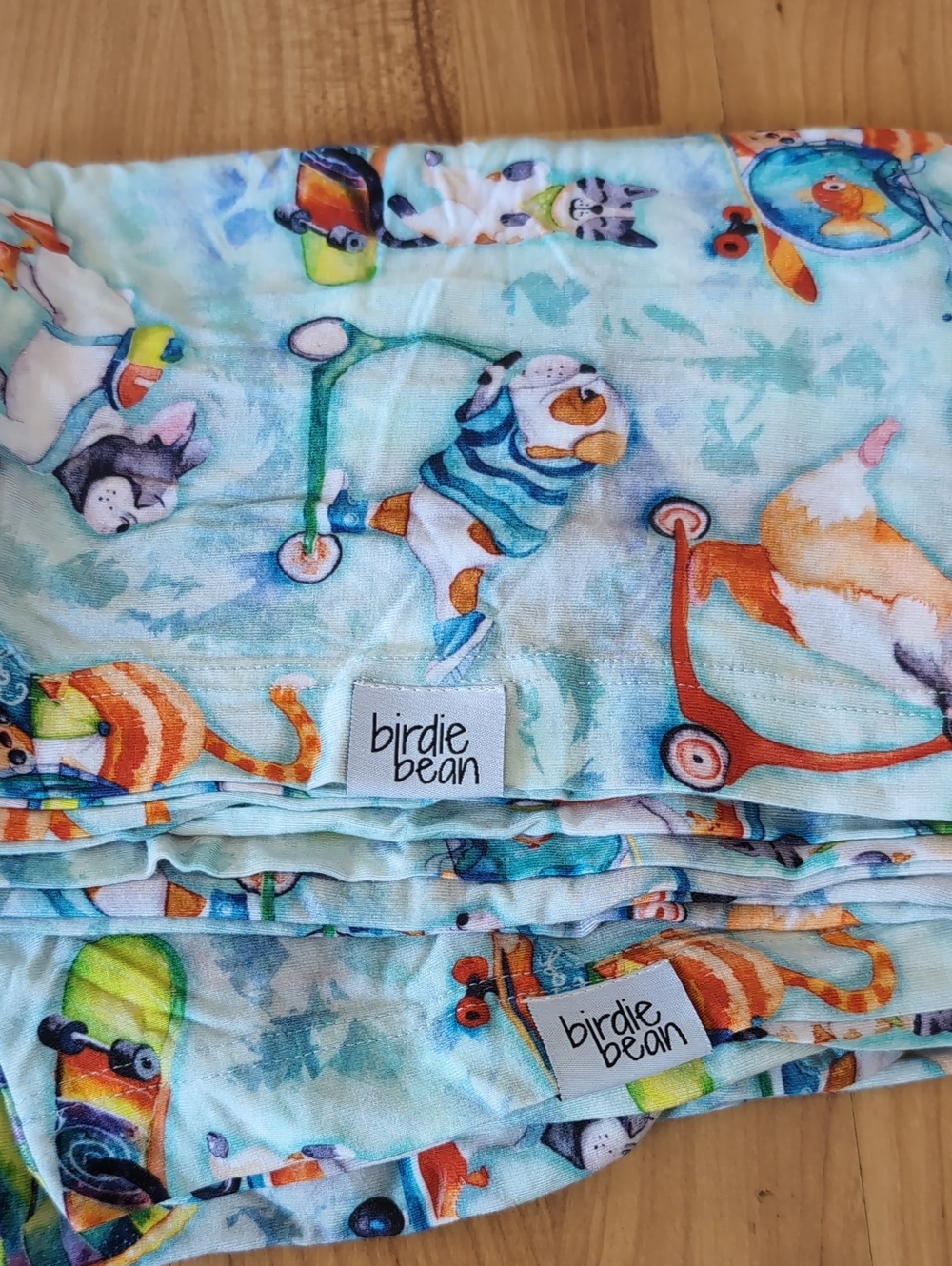 NWOT Birdie Bean Set Of 2 Skateboard Pets Bamboo Pillow Case Brody